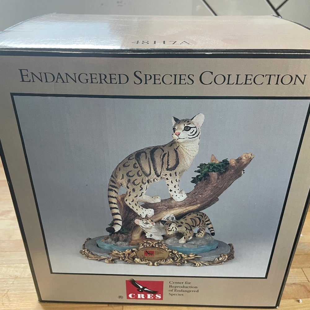NIB-Cloud Leopard- Endangered Species Series
